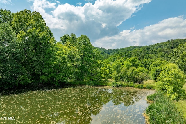 2898 Watauga Rd, Johnson City, TN 37601 - water view featuring a forest