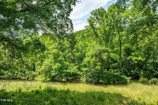 2898 Watauga Rd, Johnson City, TN 37601 - view of wooded area