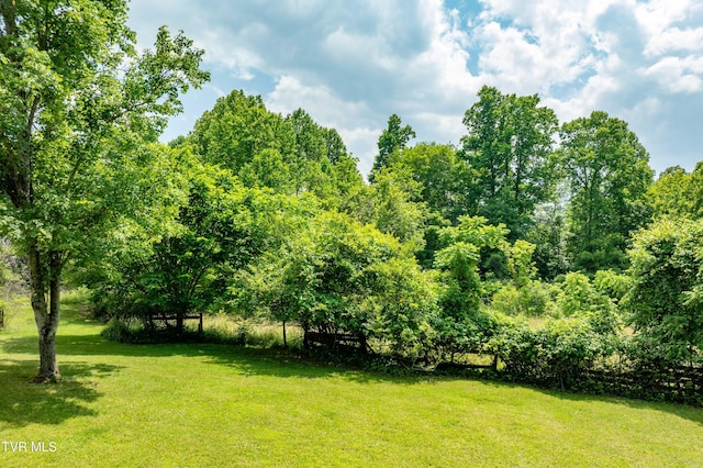 2898 Watauga Rd, Johnson City, TN 37601 - view of grassy yard