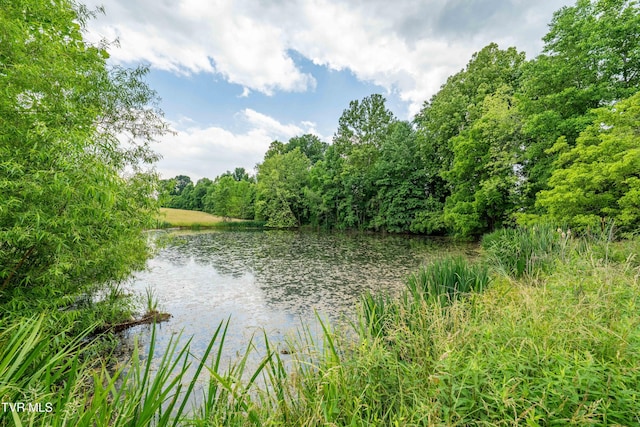 2898 Watauga Rd, Johnson City, TN 37601 - water view featuring a forest