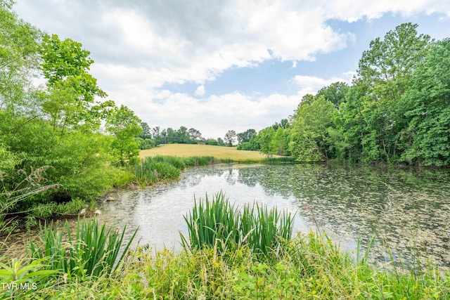 2898 Watauga Rd, Johnson City, TN 37601 - water view