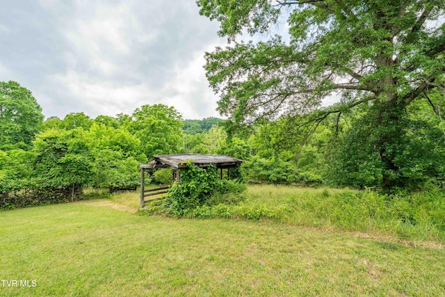 2898 Watauga Rd, Johnson City, TN 37601 - view of grassy yard featuring a wooded view