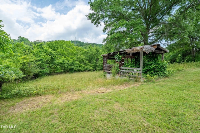 2898 Watauga Rd, Johnson City, TN 37601 - view of yard with a wooded view