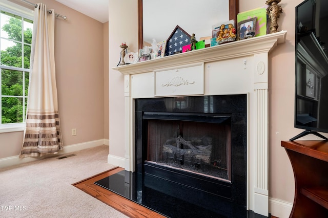 2898 Watauga Rd, Johnson City, TN 37601 - detailed view of a fireplace, carpet, and baseboards
