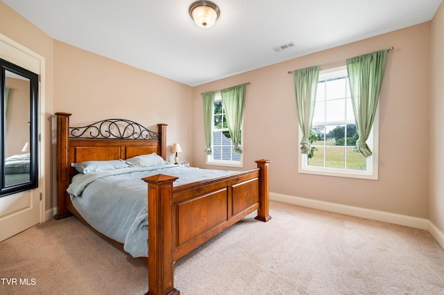 2898 Watauga Rd, Johnson City, TN 37601 - bedroom featuring light colored carpet, multiple windows, and baseboards