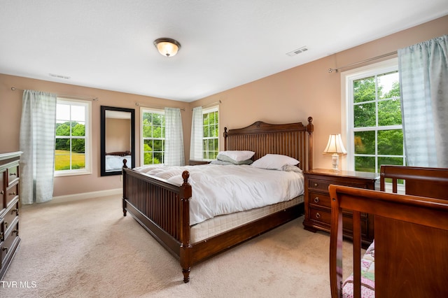 2898 Watauga Rd, Johnson City, TN 37601 - bedroom with light colored carpet, multiple windows, and baseboards