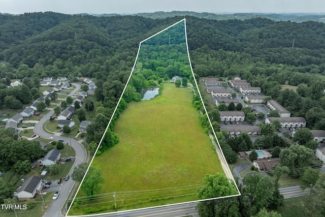 2898 Watauga Rd, Johnson City, TN 37601 - photo 4