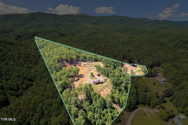 620 Swift Hollow Ln, Mountain City, TN 37683 - photo 6