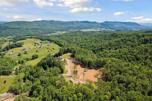 620 Swift Hollow Ln, Mountain City, TN 37683 - photo 63