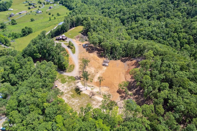 620 Swift Hollow Ln, Mountain City, TN 37683 - photo 62