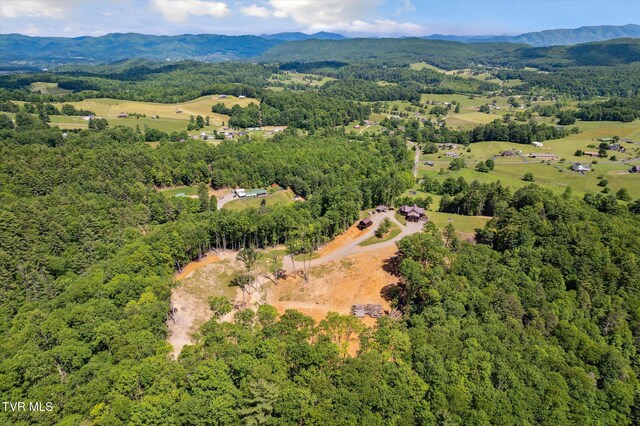 620 Swift Hollow Ln, Mountain City, TN 37683 - photo 60