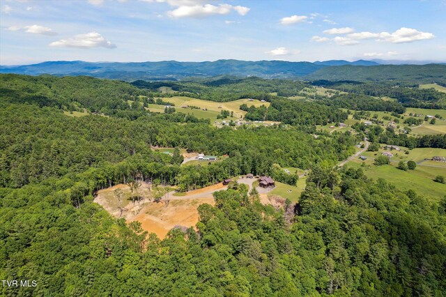 620 Swift Hollow Ln, Mountain City, TN 37683 - photo 59