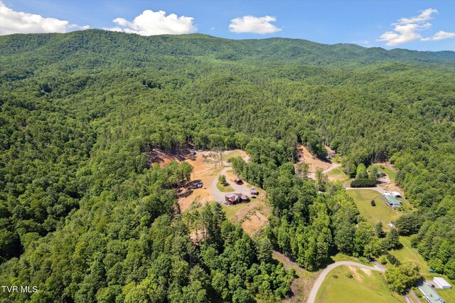 620 Swift Hollow Ln, Mountain City, TN 37683 - photo 56
