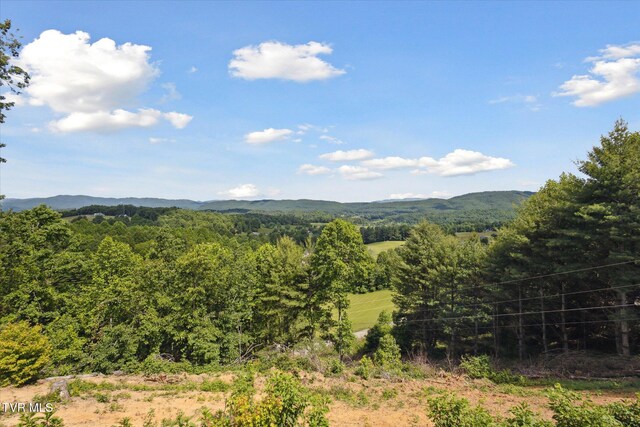 620 Swift Hollow Ln, Mountain City, TN 37683 - photo 54