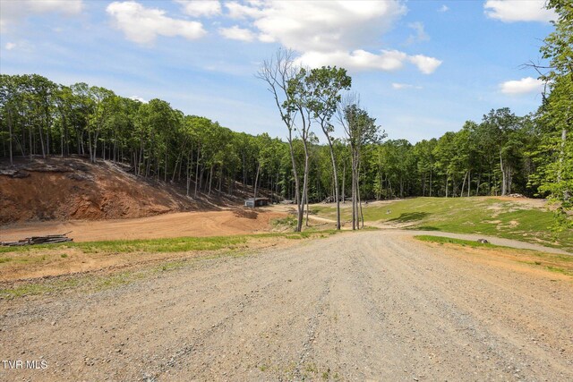 620 Swift Hollow Ln, Mountain City, TN 37683 - photo 14