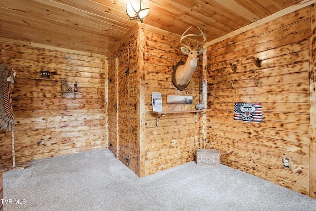 620 Swift Hollow Ln, Mountain City, TN 37683 - photo 40
