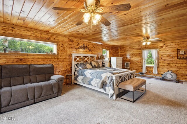 620 Swift Hollow Ln, Mountain City, TN 37683 - photo 33