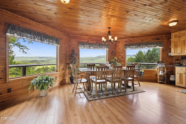 620 Swift Hollow Ln, Mountain City, TN 37683 - photo 22