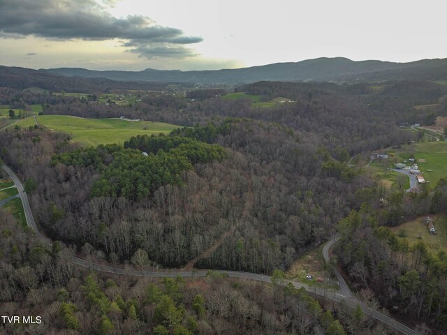 Tbd Highway 133, Shady Valley, TN 37688 - photo 1