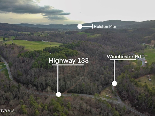Tbd Highway 133, Shady Valley, TN 37688 - photo 2