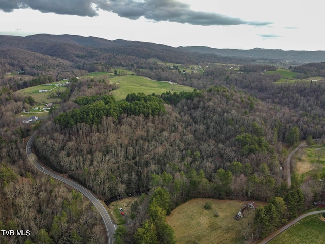 Tbd Highway 133, Shady Valley, TN 37688 - photo 3