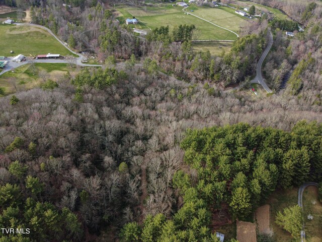 Tbd Highway 133, Shady Valley, TN 37688 - photo 4