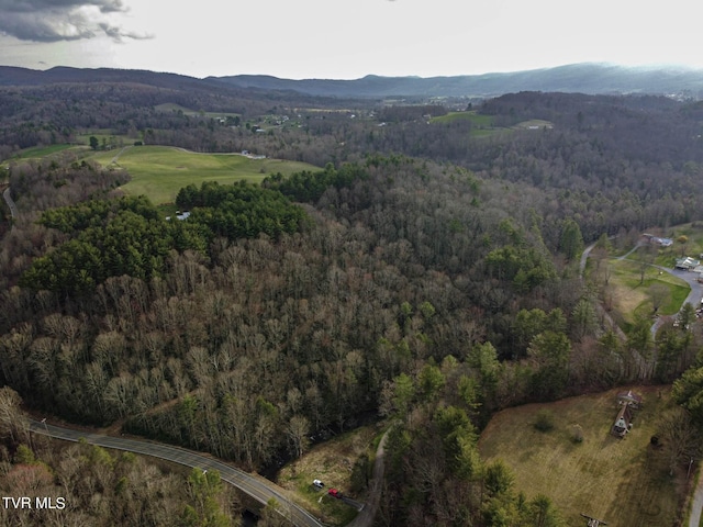 Tbd Highway 133, Shady Valley, TN 37688 - photo 5