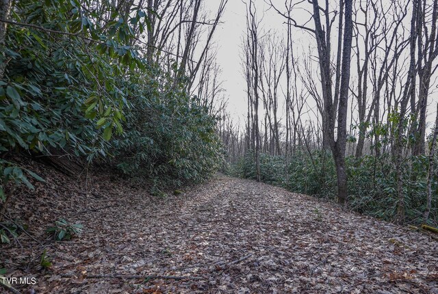 Tbd Highway 133, Shady Valley, TN 37688 - photo 8