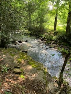 Tbd Highway 133, Shady Valley, TN 37688 - photo 10