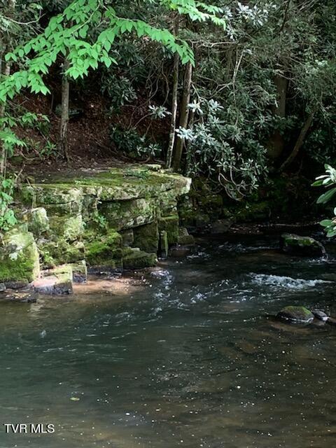 Tbd Highway 133, Shady Valley, TN 37688 - photo 11