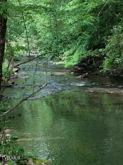 Tbd Highway 133, Shady Valley, TN 37688 - photo 12