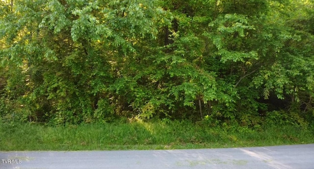 305 Chandler Cir, Greeneville, TN 37743 - photo 2