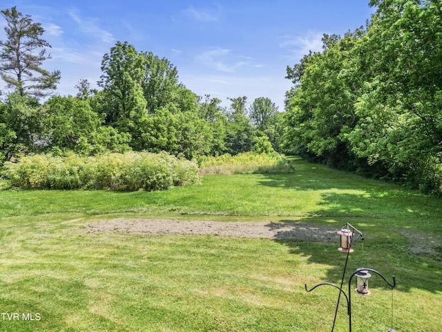 440 Telford Rd, Telford, TN 37690 - photo 20