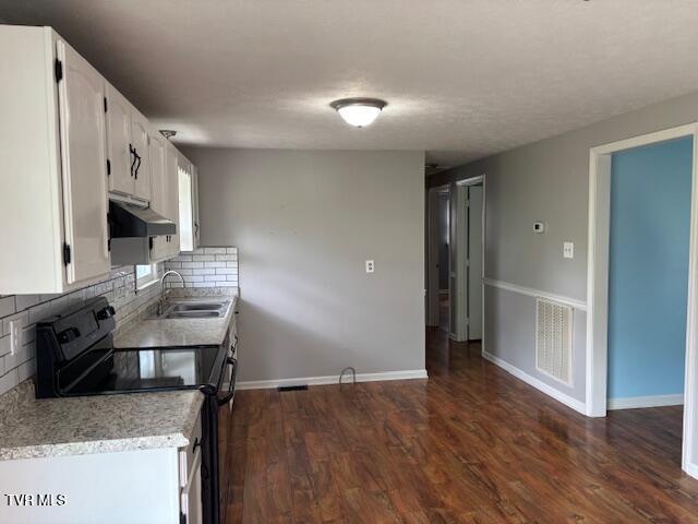 15266 Spring Valley Rd, Abingdon, VA 24210 - kitchen with black / electric stove, under cabinet range hood, a sink, white cabinetry, and decorative backsplash