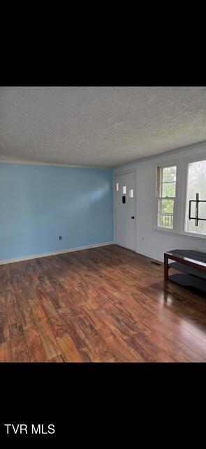 15266 Spring Valley Rd, Abingdon, VA 24210 - unfurnished living room featuring wood finished floors and a textured ceiling
