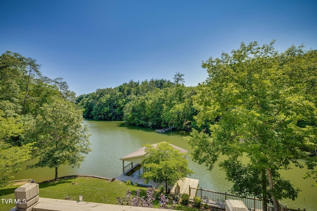 100 Pointe Dr, Piney Flats, TN 37686 - water view with a dock and a heavily wooded area