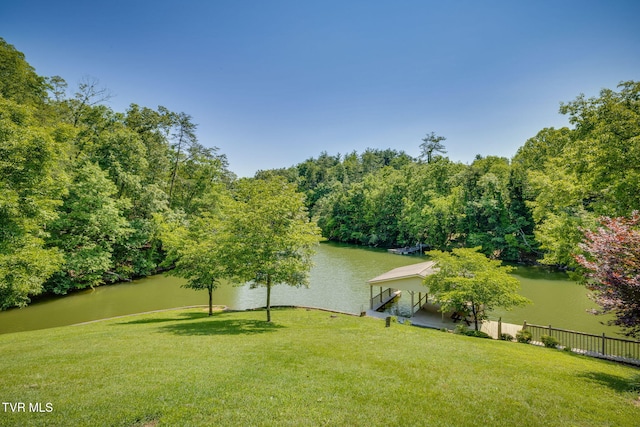 100 Pointe Dr, Piney Flats, TN 37686 - view of yard with a water view