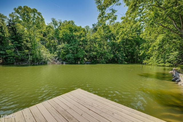 100 Pointe Dr, Piney Flats, TN 37686 - dock area featuring a water view and a view of trees