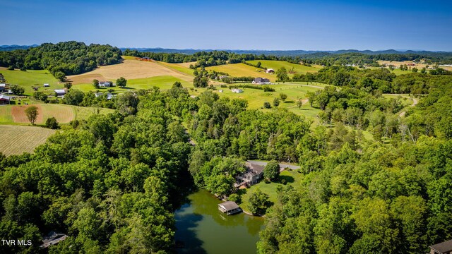 100 Pointe Dr, Piney Flats, TN 37686 - view of rural area with a large body of water