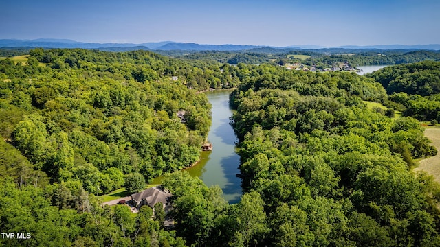 100 Pointe Dr, Piney Flats, TN 37686 - bird's eye view of a nearby body of water and a forest