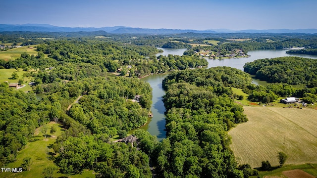100 Pointe Dr, Piney Flats, TN 37686 - bird's eye view of a water and mountain view and a heavily wooded area
