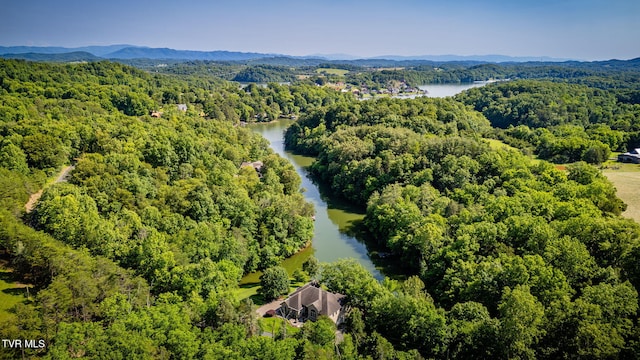 100 Pointe Dr, Piney Flats, TN 37686 - aerial view of a water and mountain view and a heavily wooded area