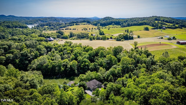 100 Pointe Dr, Piney Flats, TN 37686 - overview of rural landscape with a forest