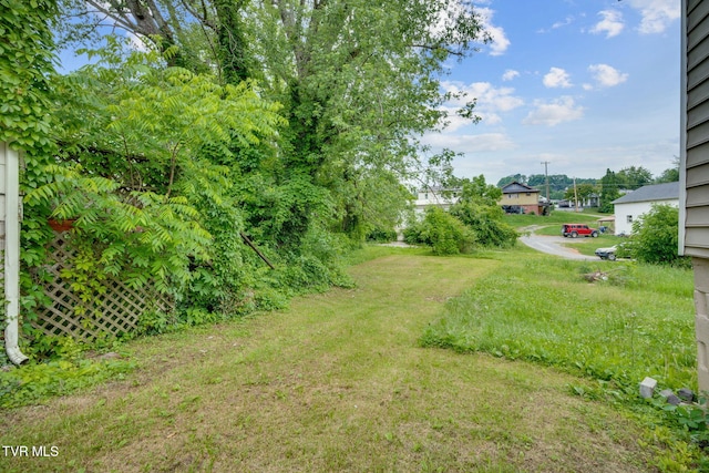 21212123 Randolph St, Bristol, VA 24201 - view of yard