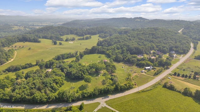 9010 Blue Springs Pkwy, Mosheim, TN 37818 - photo 3