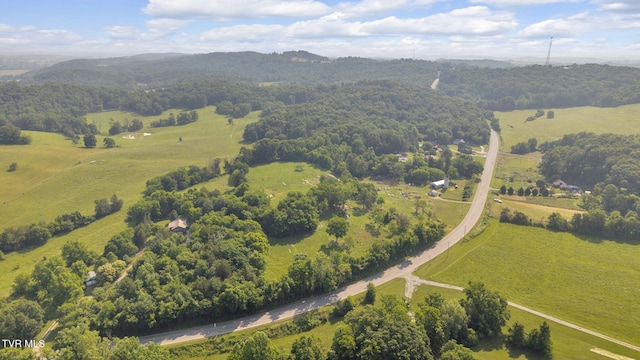 9010 Blue Springs Pkwy, Mosheim, TN 37818 - photo 4