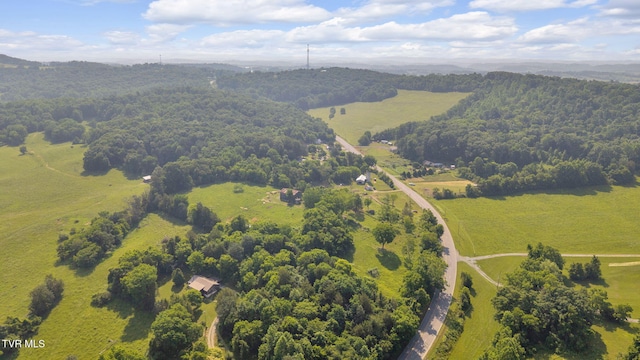 9010 Blue Springs Pkwy, Mosheim, TN 37818 - photo 5
