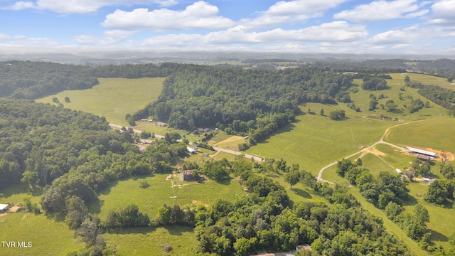 9010 Blue Springs Pkwy, Mosheim, TN 37818 - photo 6