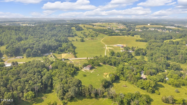9010 Blue Springs Pkwy, Mosheim, TN 37818 - photo 8