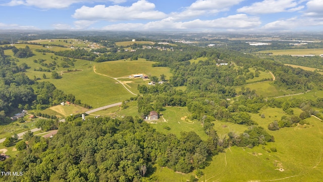 9010 Blue Springs Pkwy, Mosheim, TN 37818 - photo 9